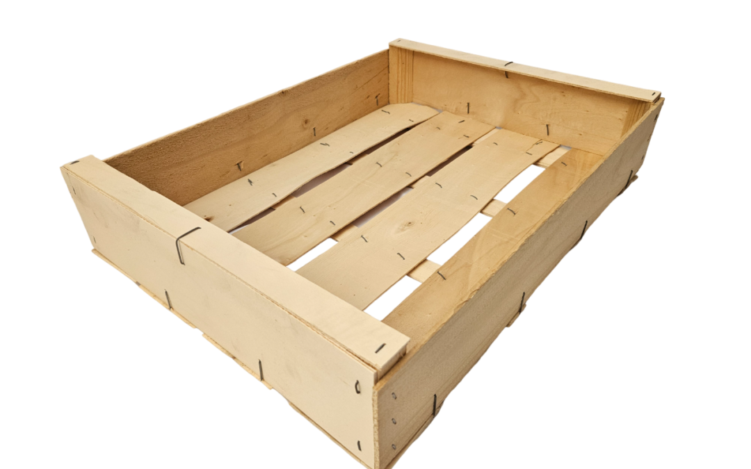 Caja de pescado 50 x 38